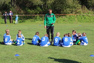 乐鱼体育APP官方下载-法甲球队防守战术调整后定位球防守成功率提升分析，法甲实力定位