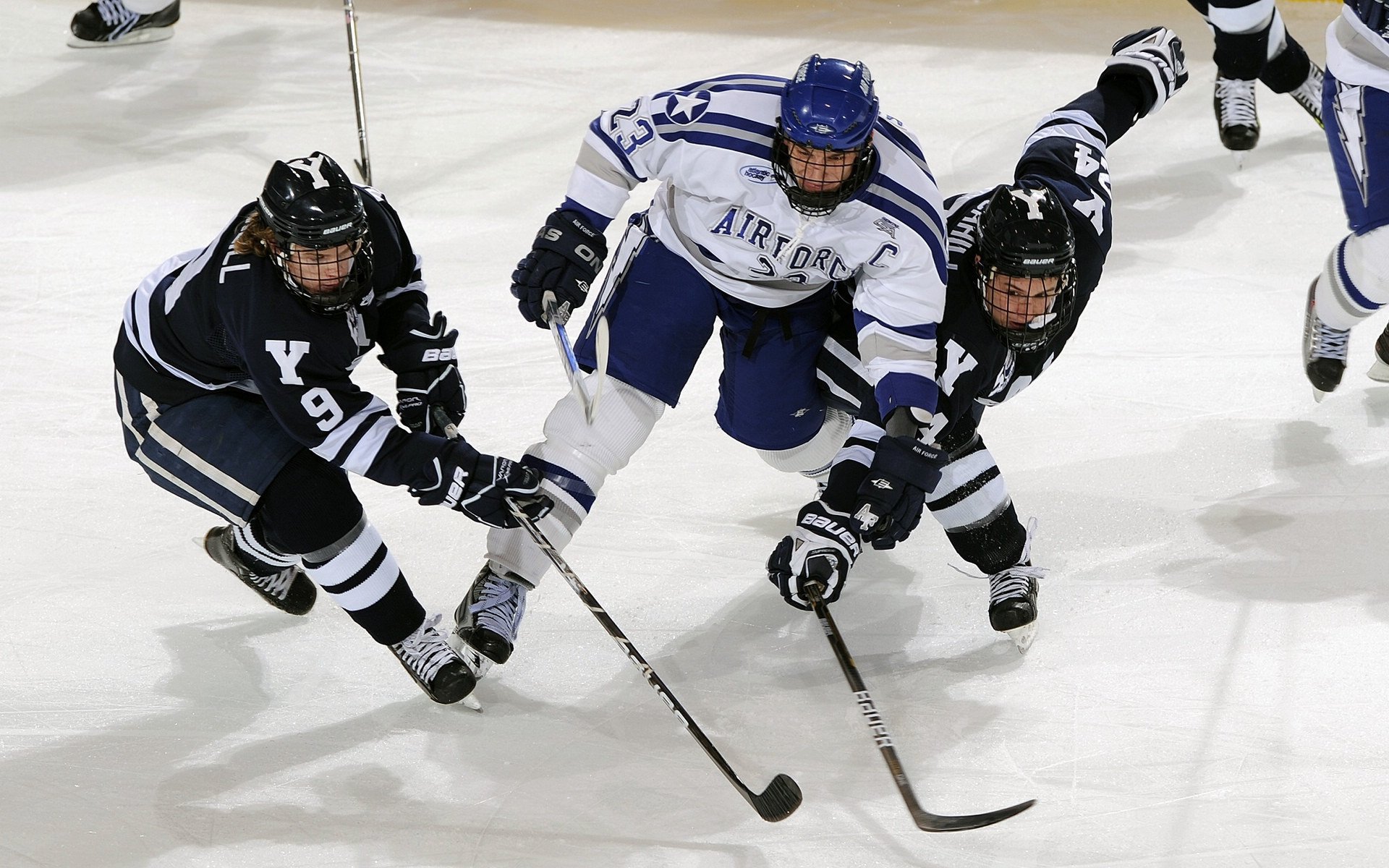 “尼古拉斯·桑特基：阿根廷美洲狮队的进攻组织者，未来潜力巨大”
